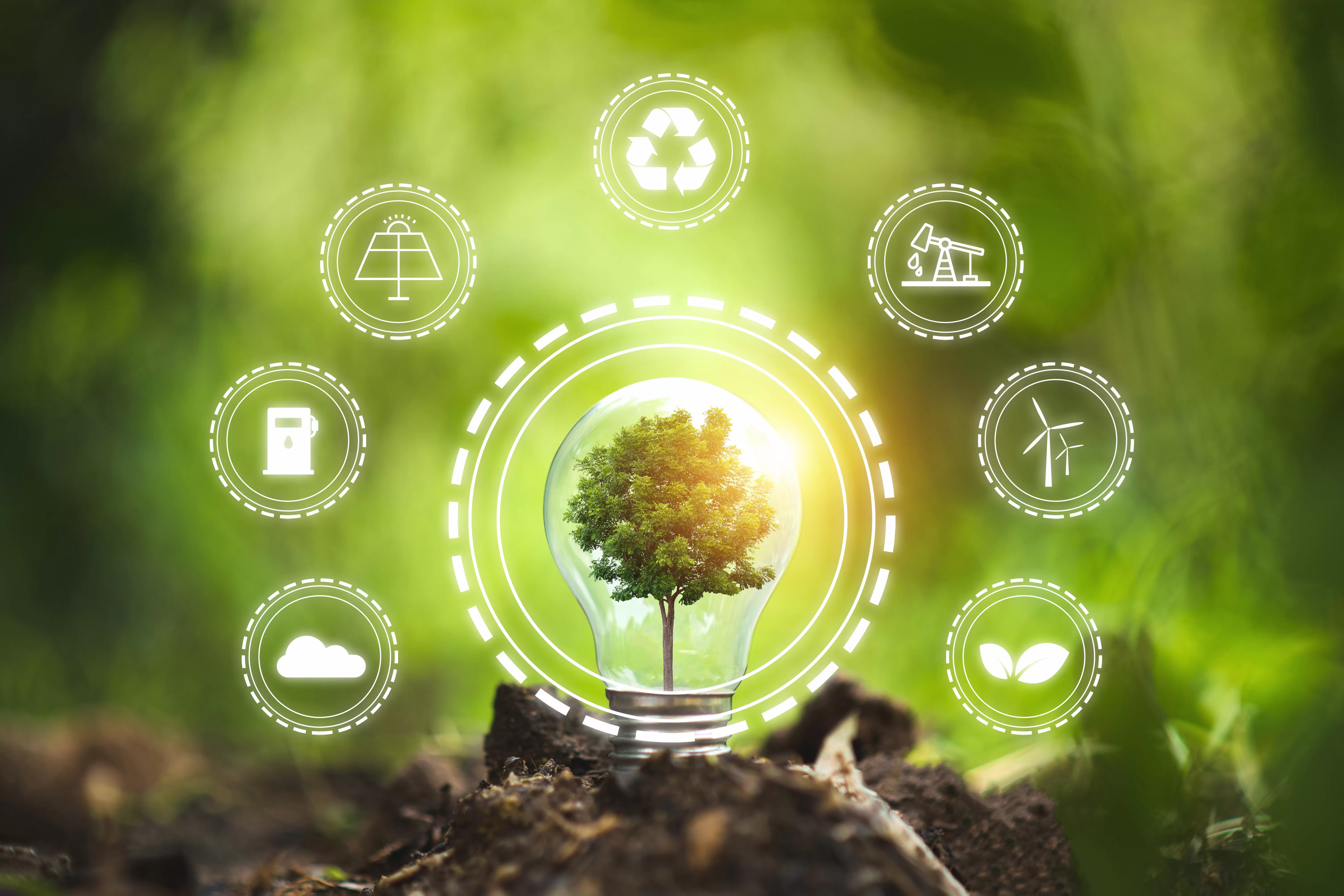 Understanding the 3 Principles of Sustainability